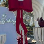 Funda Roșie din Catifea – Accesoriu Elegant pentru Evenimente